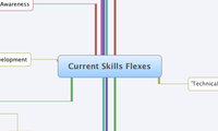 Current Skills Flexes