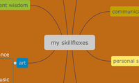 my skillflexes