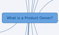 What is a Product Owner?
