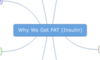 Why We Get FAT (Insulin)