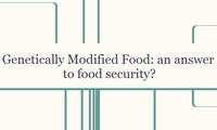 Genetically Modified Food: an answer to food security?