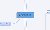 ACCT6010