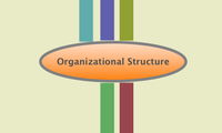 Organizational Structure