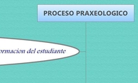 PROCESO PRAXEOLOGICO
