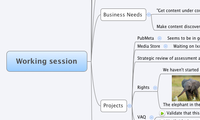 Working session