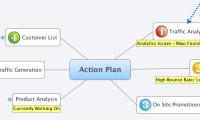 Action Plan