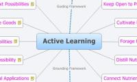 Active Learning