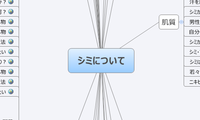 シミについて