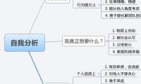 自我分析
