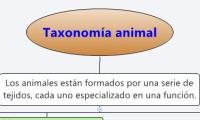 Taxonomía animal