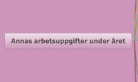  Annas arbetsuppgifter under året