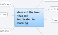 Areas of the brain that are implicated in learning