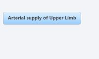 Arterial supply of Upper Limb