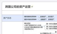 跨国公司的资产运营 