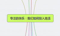 专注的快乐：我们如何投入地活