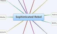 Sophisticated Rebel