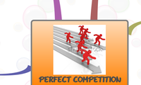 PERFECT COMPETITION