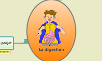 La digestion