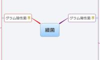 細菌