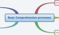 Basic Comprehension processes
