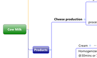 Cow Milk