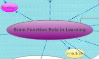 Brain Function Role in Learning
