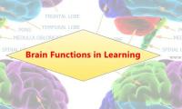 Brain Functions in Learning