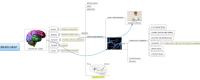 BRAIN MAP