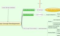 Business Concept Developement