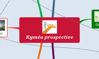 Ryméa prospective