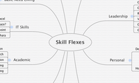 Skill Flexes