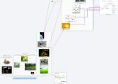 Cellular Respiration : Harvesting Chemical Energy