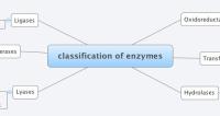 classification of enzymes