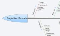 Cognitive Domain