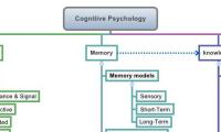 Cognitive Psychology