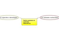 Socle commun et 
activités 
éducatives