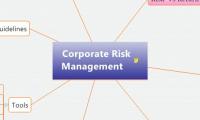Corporate Risk Management