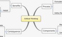 Critical Thinking