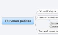 Текущая работа