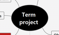 Term project