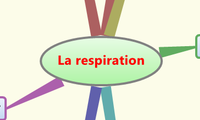 La respiration