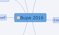 Bupa 2016