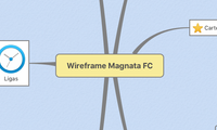 Wireframe Magnata FC