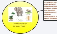 Clasificacion de los seres vivos