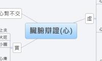 臟腑辯證(心)