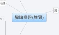 臟腑辯證(脾胃)