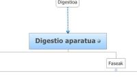 Digestio aparatua