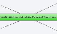 Domestic Airline Industries External Environment