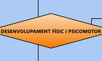 DESENVOLUPAMENT FÍSIC I PSICOMOTOR