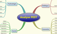 Analyse PEST